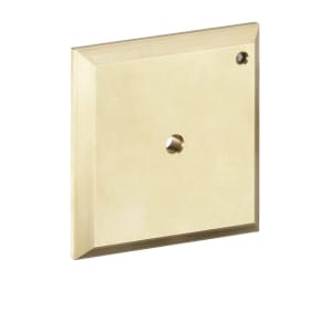 hansgrohe iControl Spülplatte