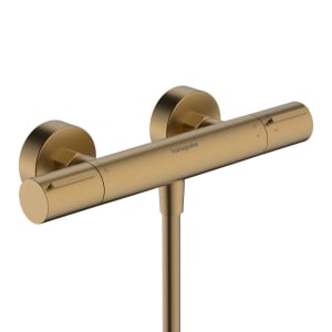 hansgrohe Ecostat Element Duschthermostat Aufputz