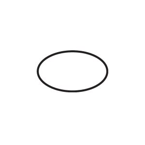 hansgrohe O-Ring 38x2