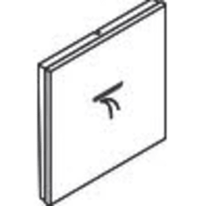 hansgrohe RainSelect Symbol Schwall für Thermostat Unterputz