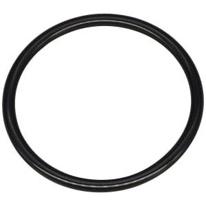 Dornbracht O-Ring 48x3,5