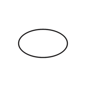 hansgrohe Ersatz-O-Ring