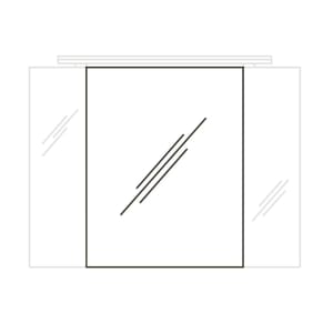 Pelipal Serie 6025 Ersatztür mitte zu Spiegelschrank 95 cm 6025-SPS10