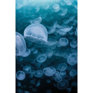 HÜPPE EasyStyle Wandverkleidung 100/150 x 255 cm, 2 Stück gemischt