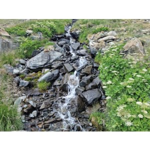 HÜPPE EasyStyle Wandverkleidung 100 x 255 cm, 2 Stück