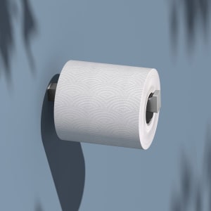 Keuco EDITION 11 Toilettenpapier-Ersatzrollenhalter