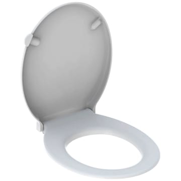 Geberit Renova Comfort Wc Sitz Barrierefrei Befestigung