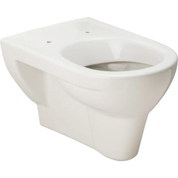 Laufen Pro Wand Wc Flachspuler H8209510000001 Megabad
