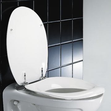 Pressalit Care Wc Ring Colani Mit Deckel R36000 B83999 Megabad