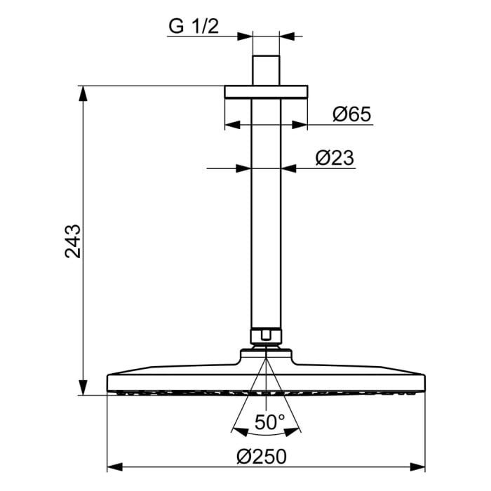 Hansa HANSAVIVA Kopfbrause
