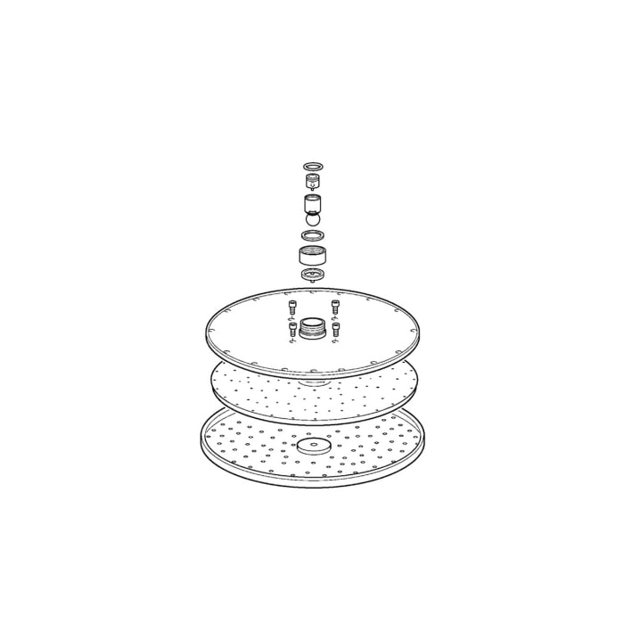 Hansa Hansaviva Ersatz-Kopfbrause 30 cm, komplett