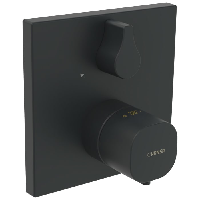 Hansa HANSALIVING Thermostat-Brause-Funktionseinheit eckige Rosette