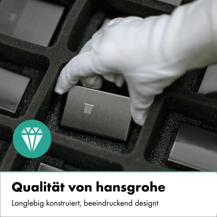 hansgrohe AddStoris S Doppelhaken