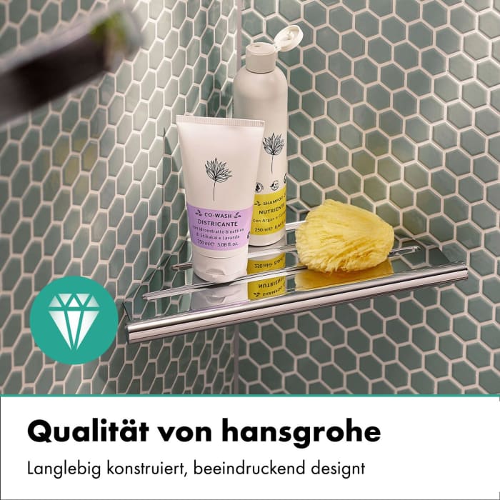 hansgrohe AddStoris S Seifenkorb