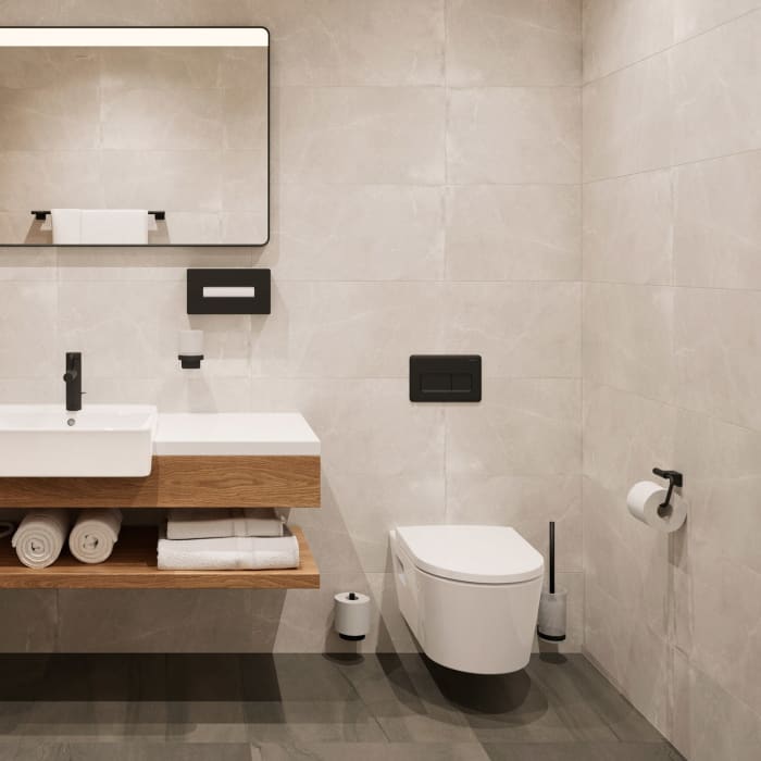 hansgrohe AddStoris S Toilettenbürstenhalter für Wandmontage