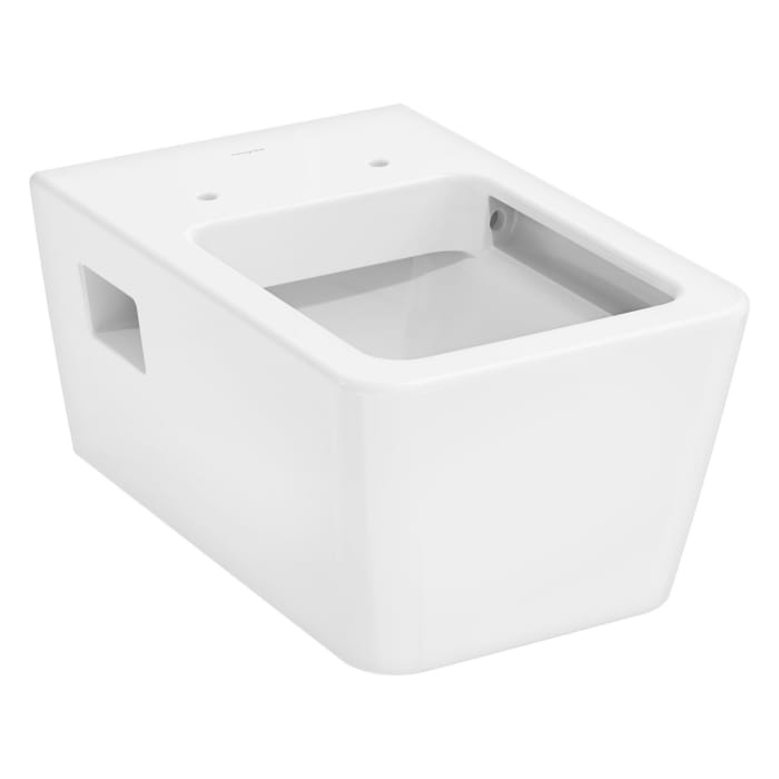 hansgrohe EluPura Original Q Wand WC 540 AquaChannel Flush