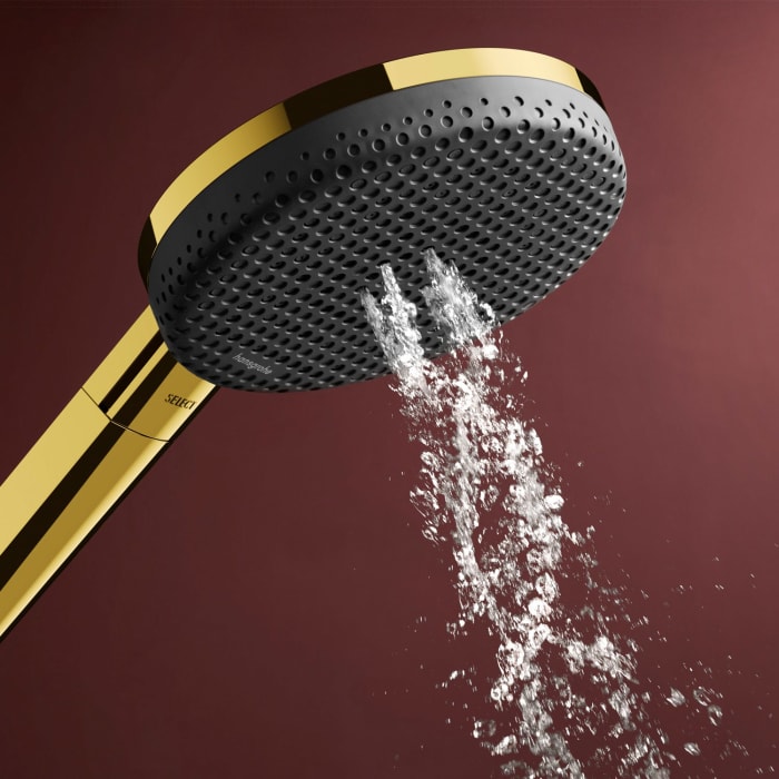 hansgrohe Raindance Alive Select S Brauseset 125 3jet EcoSmart mit Brausestange Unica E Puro 90 cm und Easy Slide Brausehalter