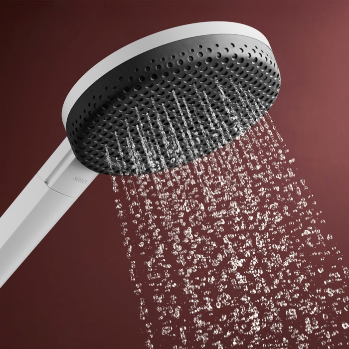 hansgrohe Raindance Alive Select S Brauseset 125 3jet EcoSmart mit Brausestange Unica E Puro 90 cm und Easy Slide Brausehalter