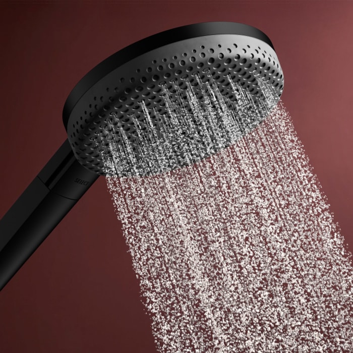 hansgrohe Raindance Alive Select S Brauseset 125 3jet EcoSmart mit Brausestange Unica E Puro 65 cm und Easy Slide Brausehalter