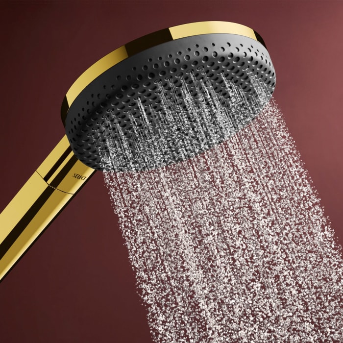 hansgrohe Raindance Alive Select S Brauseset 125 3jet EcoSmart mit Brausestange Unica E Puro 65 cm und Easy Slide Brausehalter