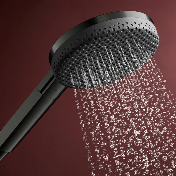 hansgrohe Raindance Alive Select S Handbrause 125 3 Strahlarten wassersparend+