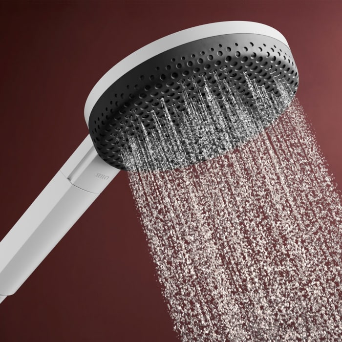 hansgrohe Raindance Alive Select S Handbrause 125 3 Strahlarten