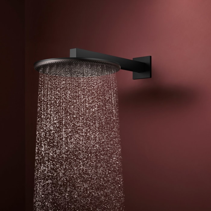 hansgrohe Raindance Alive S Kopfbrause 300 rund, 2 Strahlarten, mit Brausearm