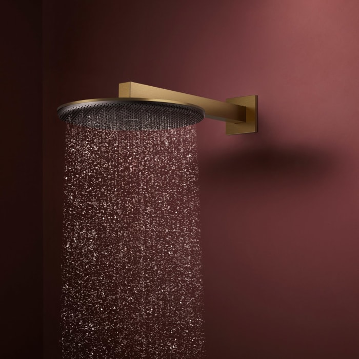 hansgrohe Raindance Alive S Kopfbrause 300 rund, 2 Strahlarten wassersparend, mit Brausearm