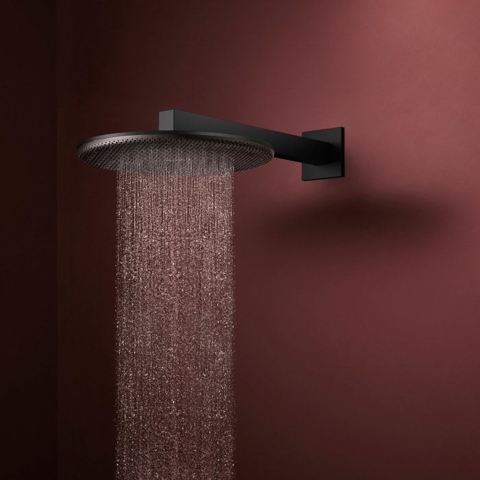 hansgrohe Raindance Alive S Kopfbrause 300 rund, 1 Strahlart
