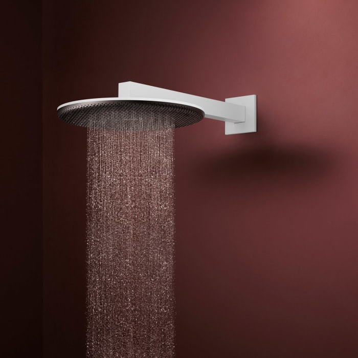 hansgrohe Raindance Alive S Kopfbrause 300 rund, 1 Strahlart