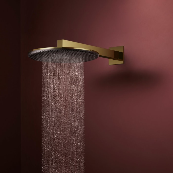 hansgrohe Raindance Alive S Kopfbrause 300 rund, 1 Strahlart