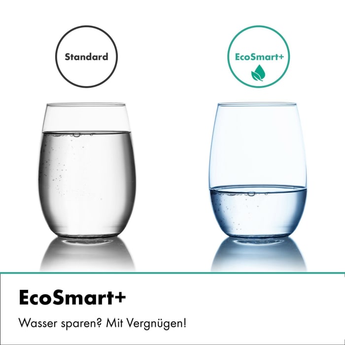 hansgrohe Raindance Alive S Puro Duschsystem 300 1 Strahlart wassersparend+ mit Ecostat Element