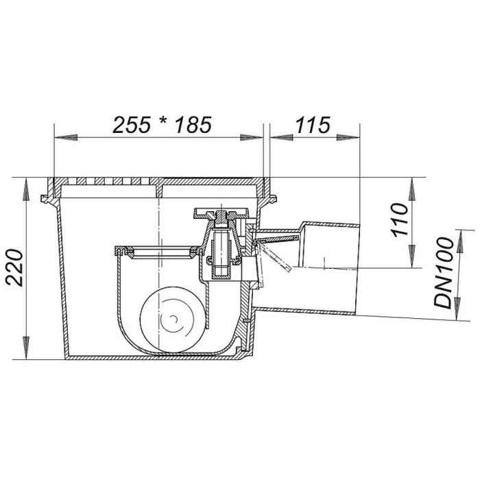 Dallmer Rückstau-Kellerablauf Ballstau 110, DN 100