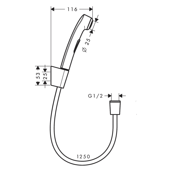 hansgrohe Bidette Handbrause 1jet mit Brausehalter und Druckschlauch 125 cm