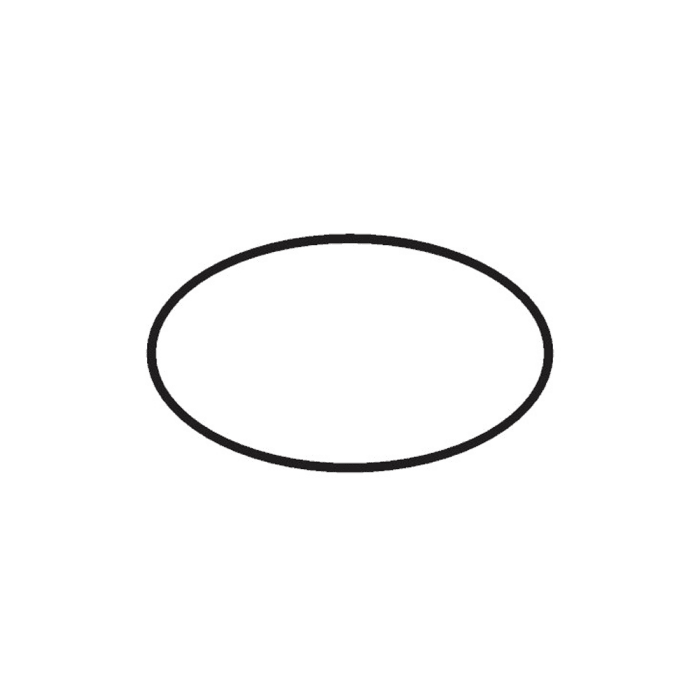 hansgrohe Ersatz-O-Ring