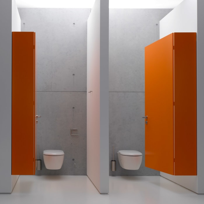 HEWI System 162 WC-Papierhalter