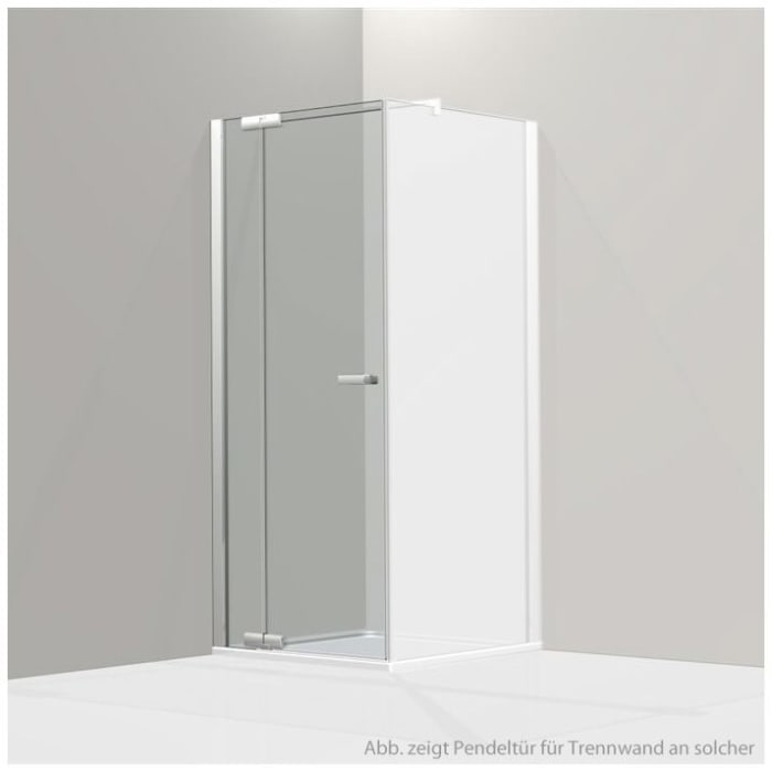 Koralle S800 Pendeltür für Trennwand 160 cm Anschlag links