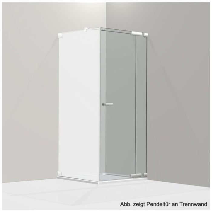 Koralle S808 Pendeltüre für Trennwand bis 115 cm rechts