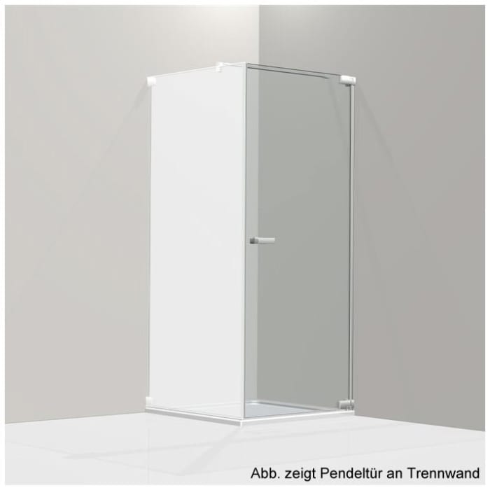 Koralle S808 Pendeltüre für Trennwand ohne Festelement rechts