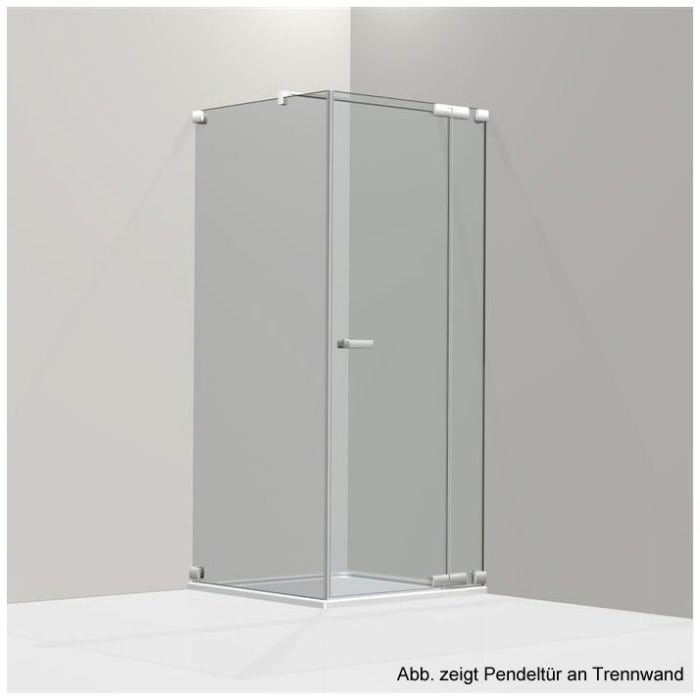 Koralle S808 Pendeltüre für Trennwand bis 95 cm rechts