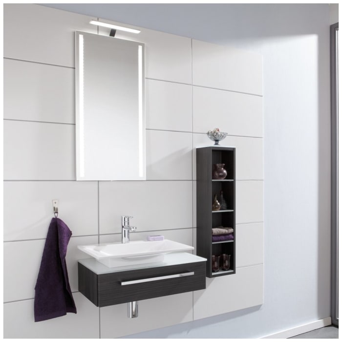 Puris for Guests Badezimmerspiegel 40 x 80 cm mit LED-Lichtfenster und Aufbauleuchte