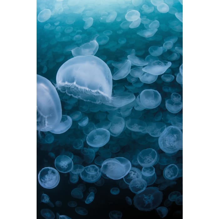 HÜPPE EasyStyle Wandverkleidung 150 x 255 cm, 2 Stück