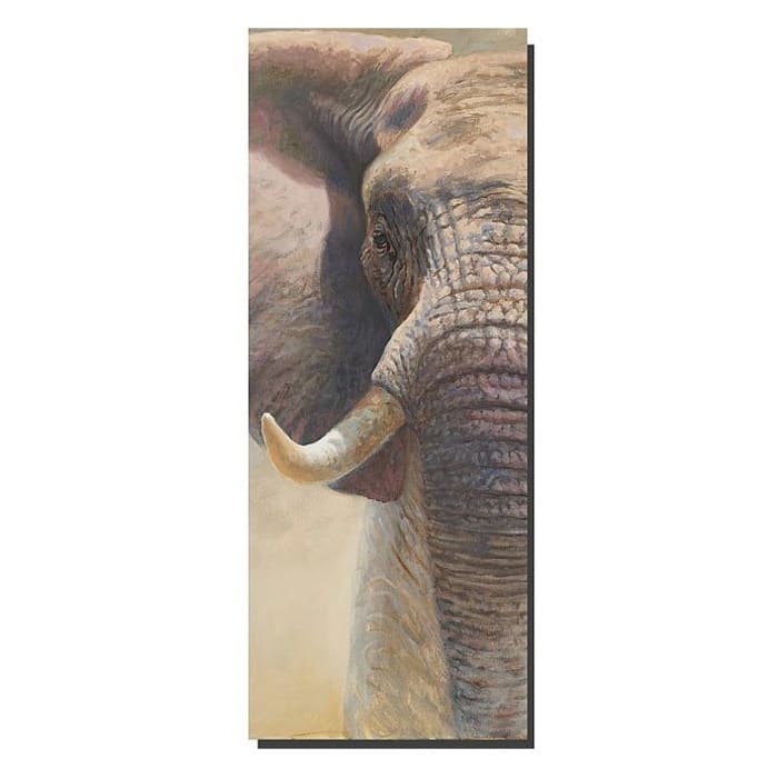 HÜPPE EasyStyle Wandverkleidung 150 x 255 cm, 2 Stück