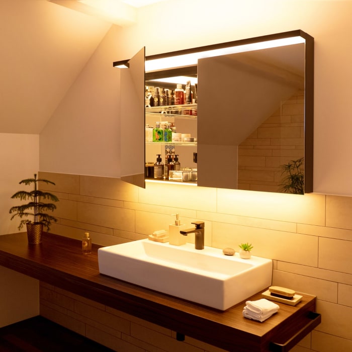 Schneider BORDO TW Spiegelschrank ALU1 70/2/TW 69,5 x 73,1 cm, CH