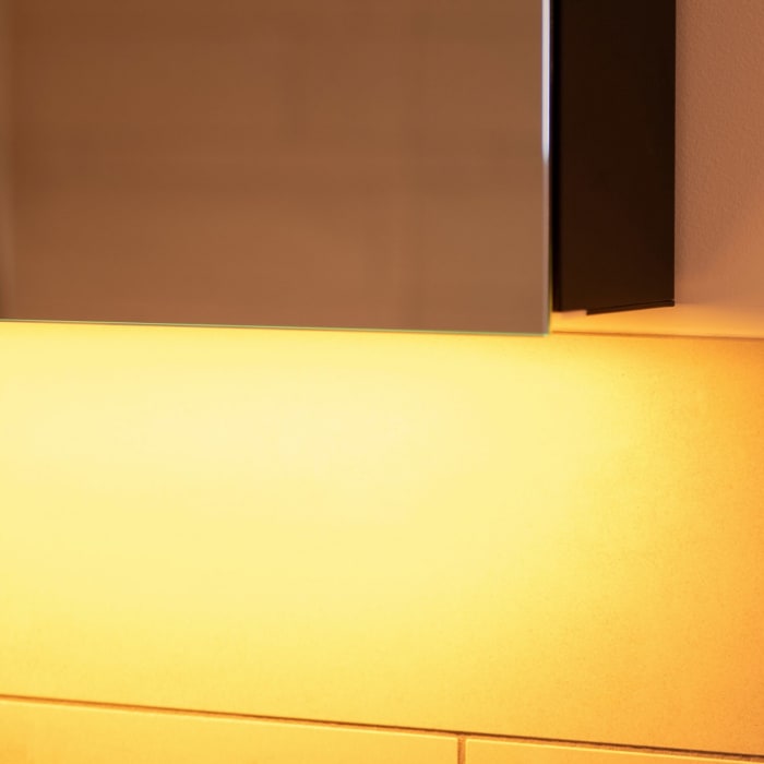 Schneider BORDO TW Spiegelschrank ALU1 90/2/TW 89,5 x 73,1 cm, DE