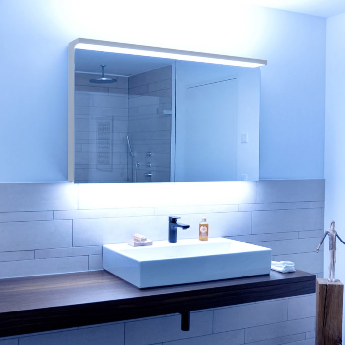 Schneider BORDO TW Spiegelschrank ALU1 60/2/TW/L 59,5 x 73,1 cm, Steckdose links, CH