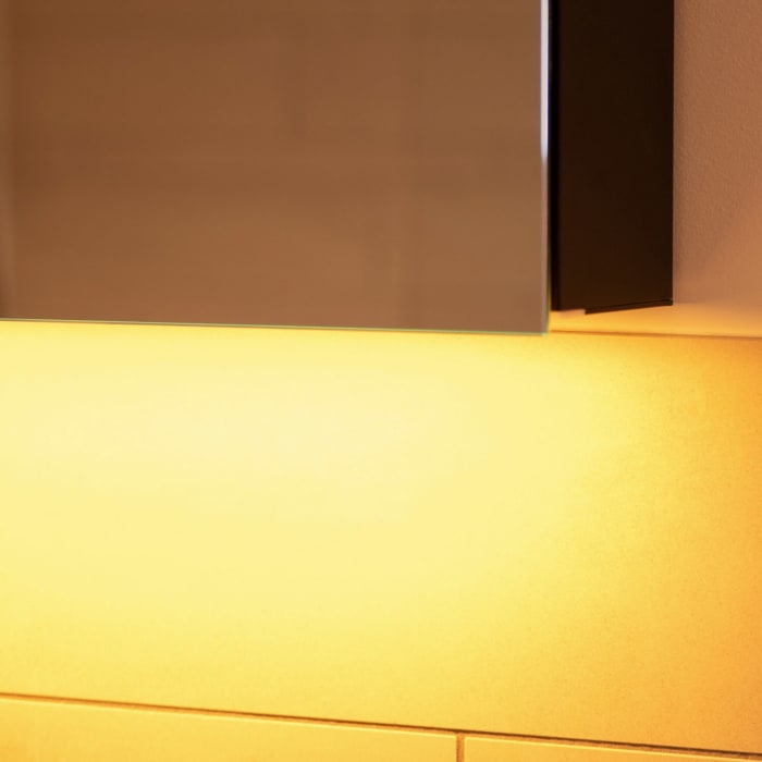 Schneider BORDO TW Spiegelschrank ALU1 70/2/TW 69,5 x 73,1 cm, DE