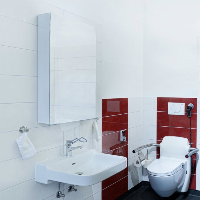 Schneider CARE Spiegelschrank CLC1 60/1/S/O/R 59,5 x 82 cm, mit Drehtür und Papierspender, CH