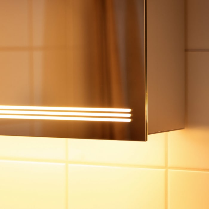 Schneider GRACE TW Spiegelschrank GRL 100/2/TW 99,5 x 70 cm, DE