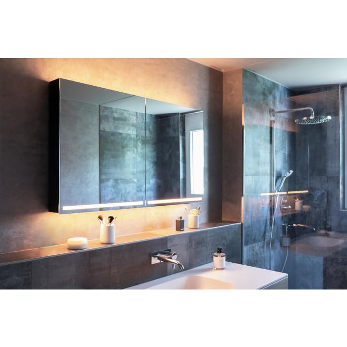 Schneider GRACE TW Spiegelschrank GRL 100/2/TW 99,5 x 70 cm, DE